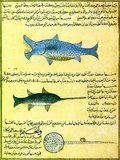 From al-Qazwini’s Arabic cosmography, this page depicts a shark, a swordfish and a stingray (late 13th century). Zakariya ibn Muhammad ibn Mahmud al-Qazwini (1203-83) was a Persian physician, astronomer, geographer and proto-science fiction writer. His famous Arabic-language cosmography titled ‘Aja’ib al-makhluqat wa-ghe’ (literally ‘Marvels of Creatures and Strange Things Existing’) is a frequently illustrated treatise. It was immensely popular in its time and is preserved today, also translated in Persian and Turkish.